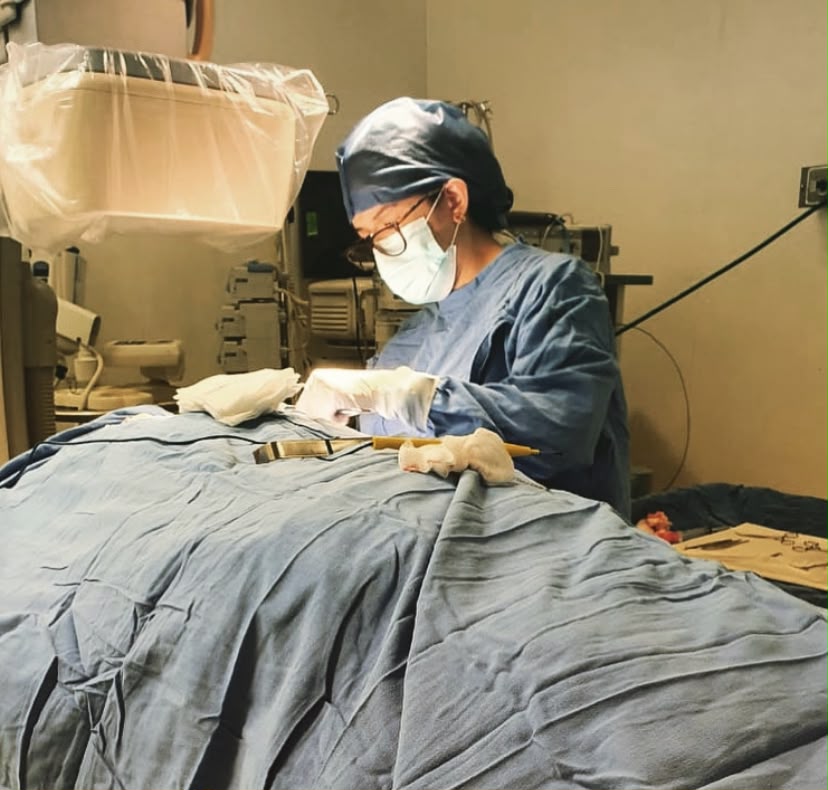 Estudio cardiológico especializado